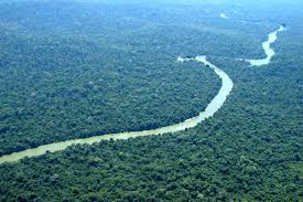 Amazonia